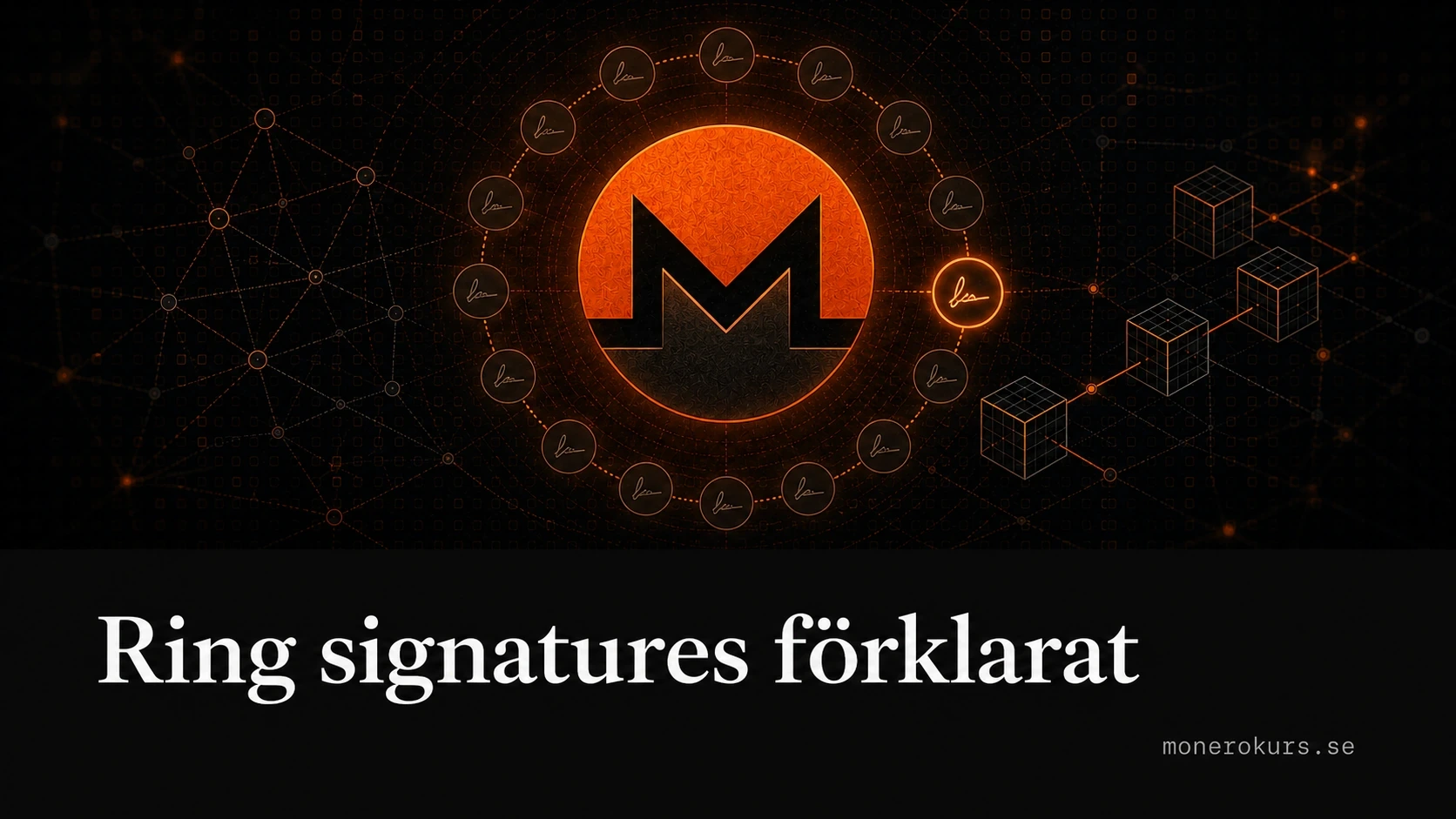 Ring signatures döljer avsändaren i Monero genom 16 möjliga signaturer